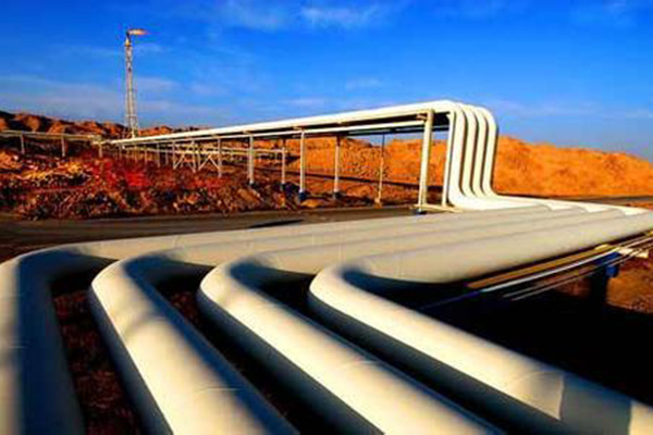 ����˹(886699-WNS��֤)���޹�˾����