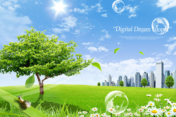 ����˹(886699-WNS��֤)���޹�˾����