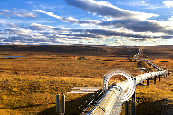 ����˹(886699-WNS��֤)���޹�˾����