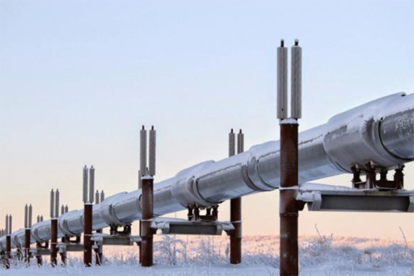 ����˹(886699-WNS��֤)���޹�˾����