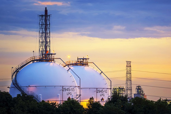 ����˹(886699-WNS��֤)���޹�˾����