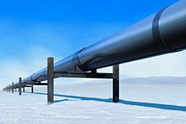 ����˹(886699-WNS��֤)���޹�˾����