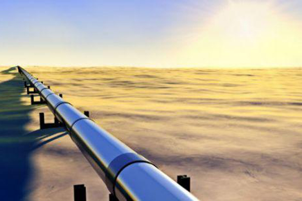 ����˹(886699-WNS��֤)���޹�˾����