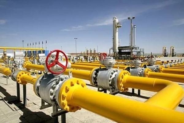 ����˹(886699-WNS��֤)���޹�˾����