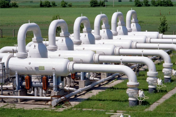 ����˹(886699-WNS��֤)���޹�˾����