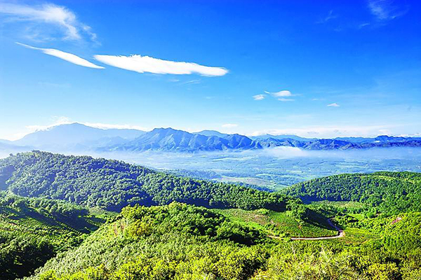 ����˹(886699-WNS��֤)���޹�˾����