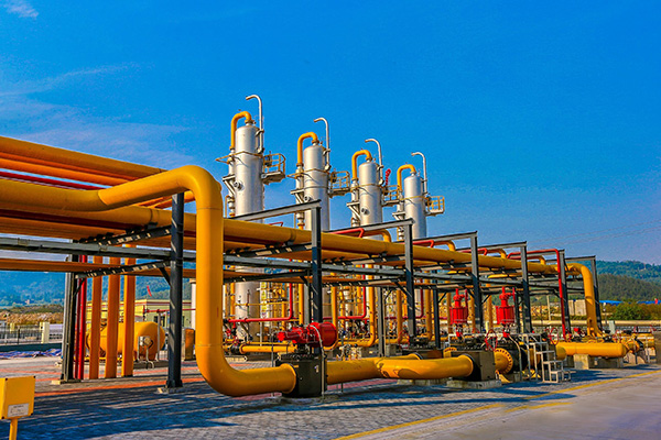 ����˹(886699-WNS��֤)���޹�˾����