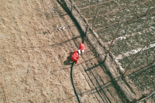 ����˹(886699-WNS��֤)���޹�˾����